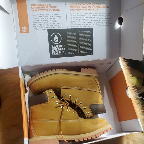 Timberland Waterproof Premium Boots 6” Wheat Nubuck Men Sz 6 Junior New in Box - Picture 2 of 15
